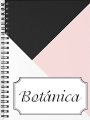 Catálogo 76