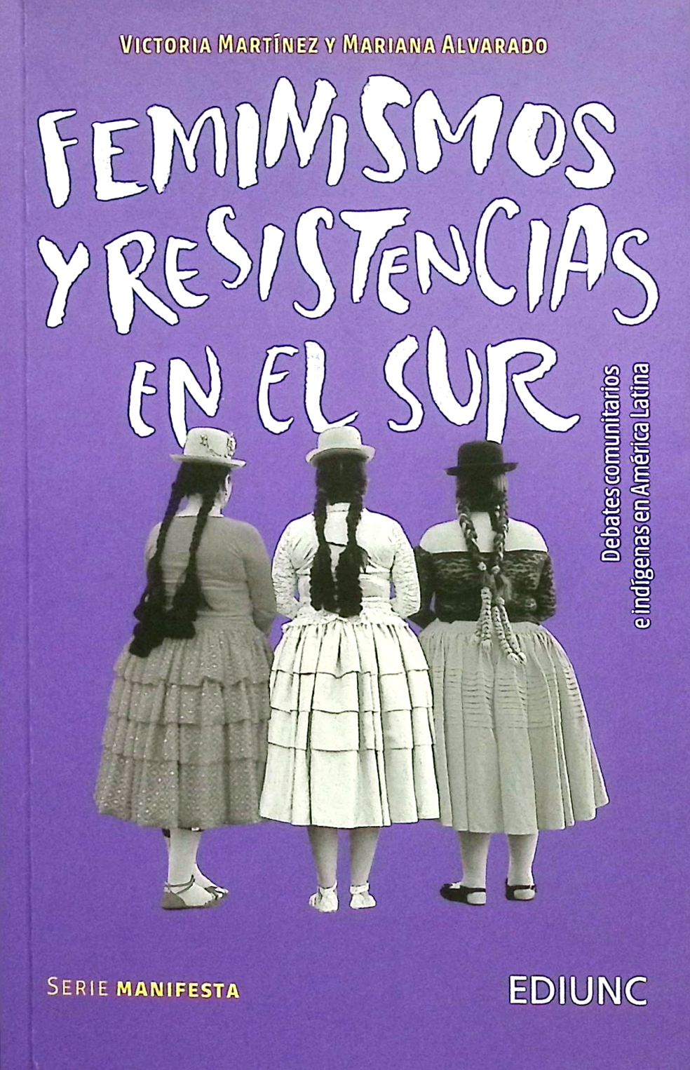 Feminismos y resistencias en el Sur